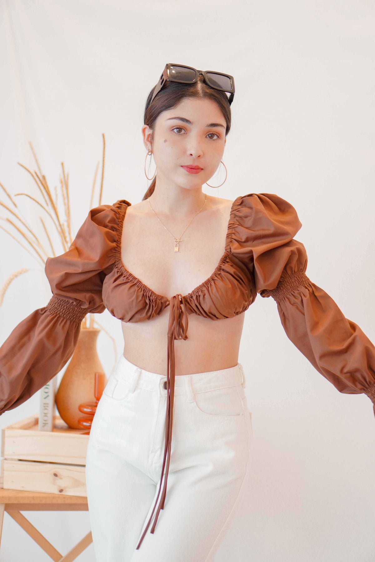 Paloma Long Sleeve Tie Crop Top in Brown