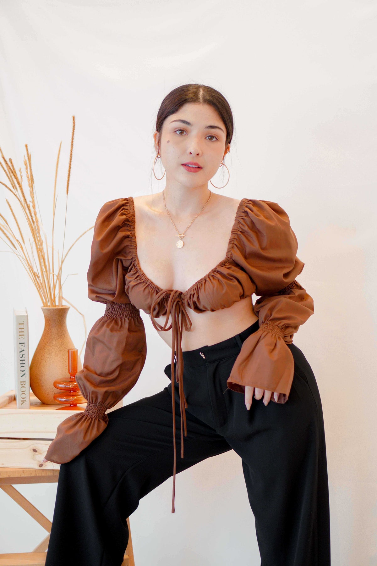 Paloma Long Sleeve Tie Crop Top in Brown