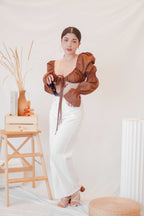 Paloma Long Sleeve Tie Crop Top in Brown