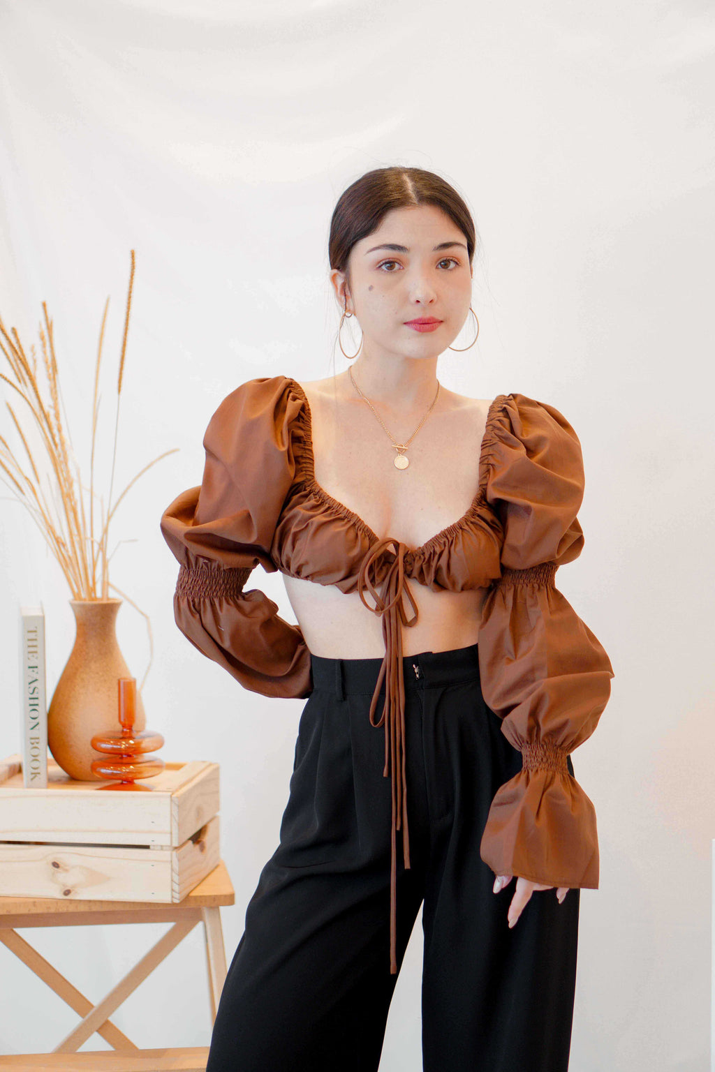 Paloma Long Sleeve Tie Crop Top in Brown