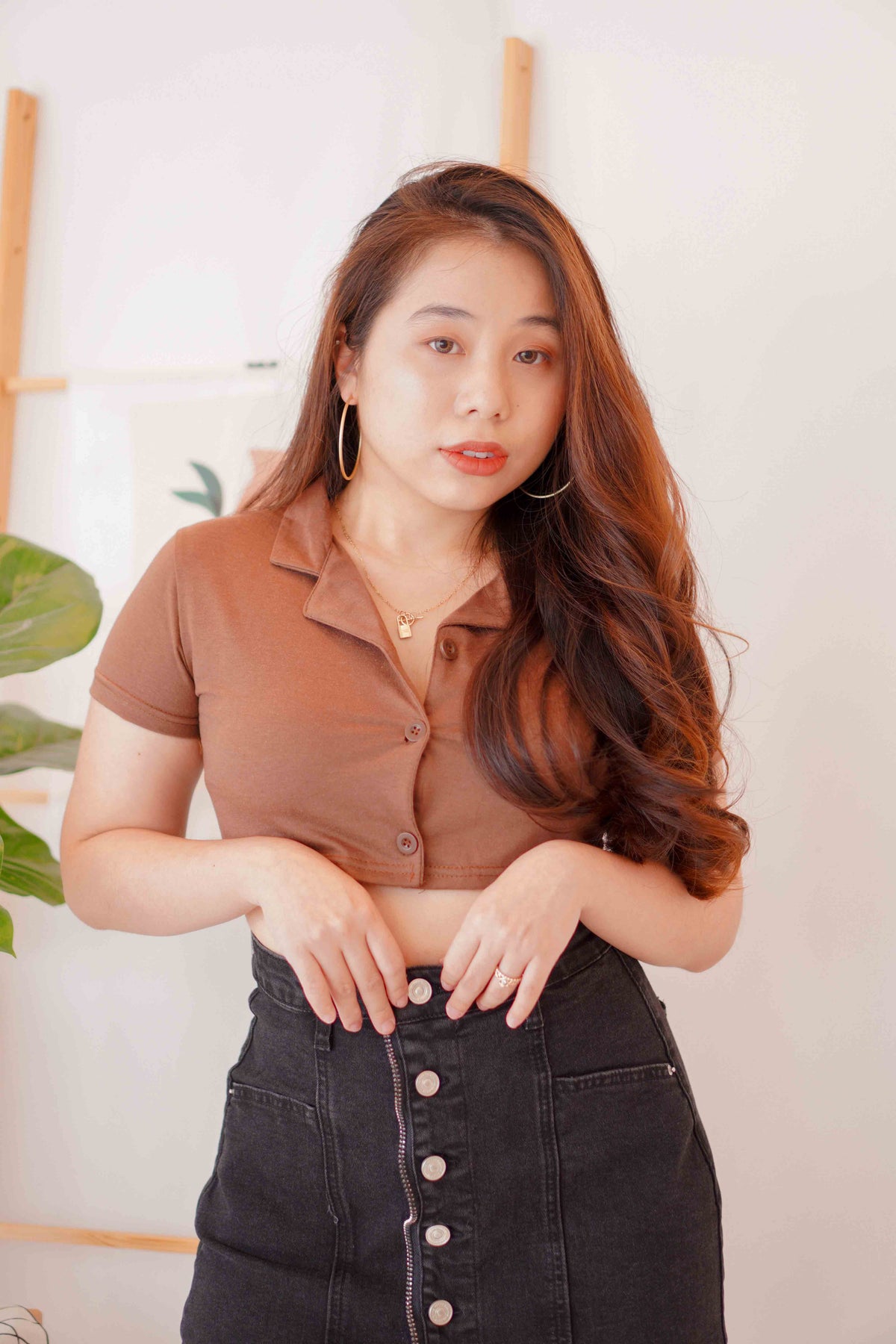 Cocoa Hills Collar Cropped Top in Brown