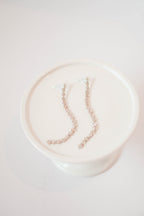 Diamonte Long Earrings