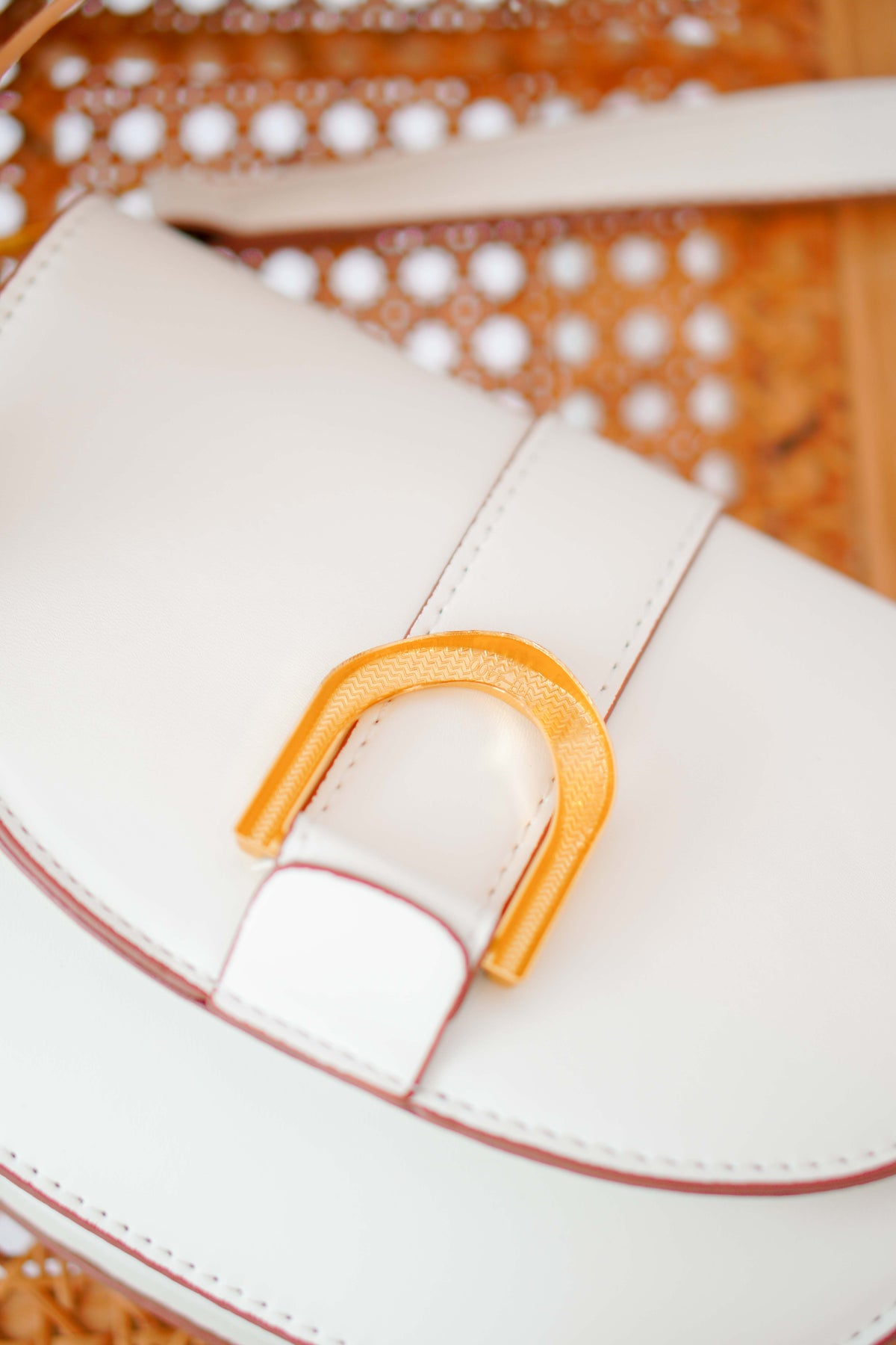 Seidi Buckle Bag
