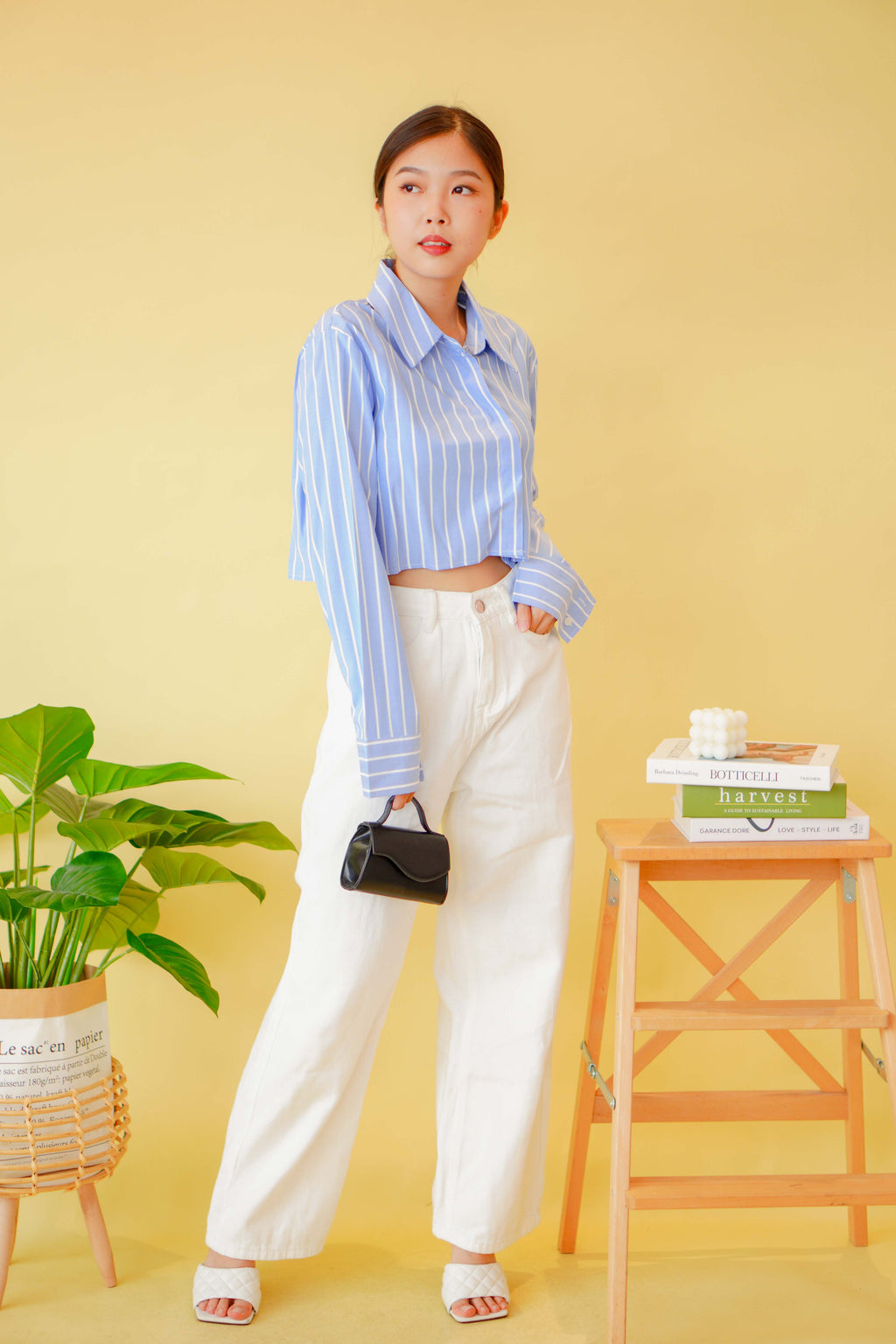 (BACKORDER) Line Up Collar Long Sleeve Crop Top in Blue Stripes