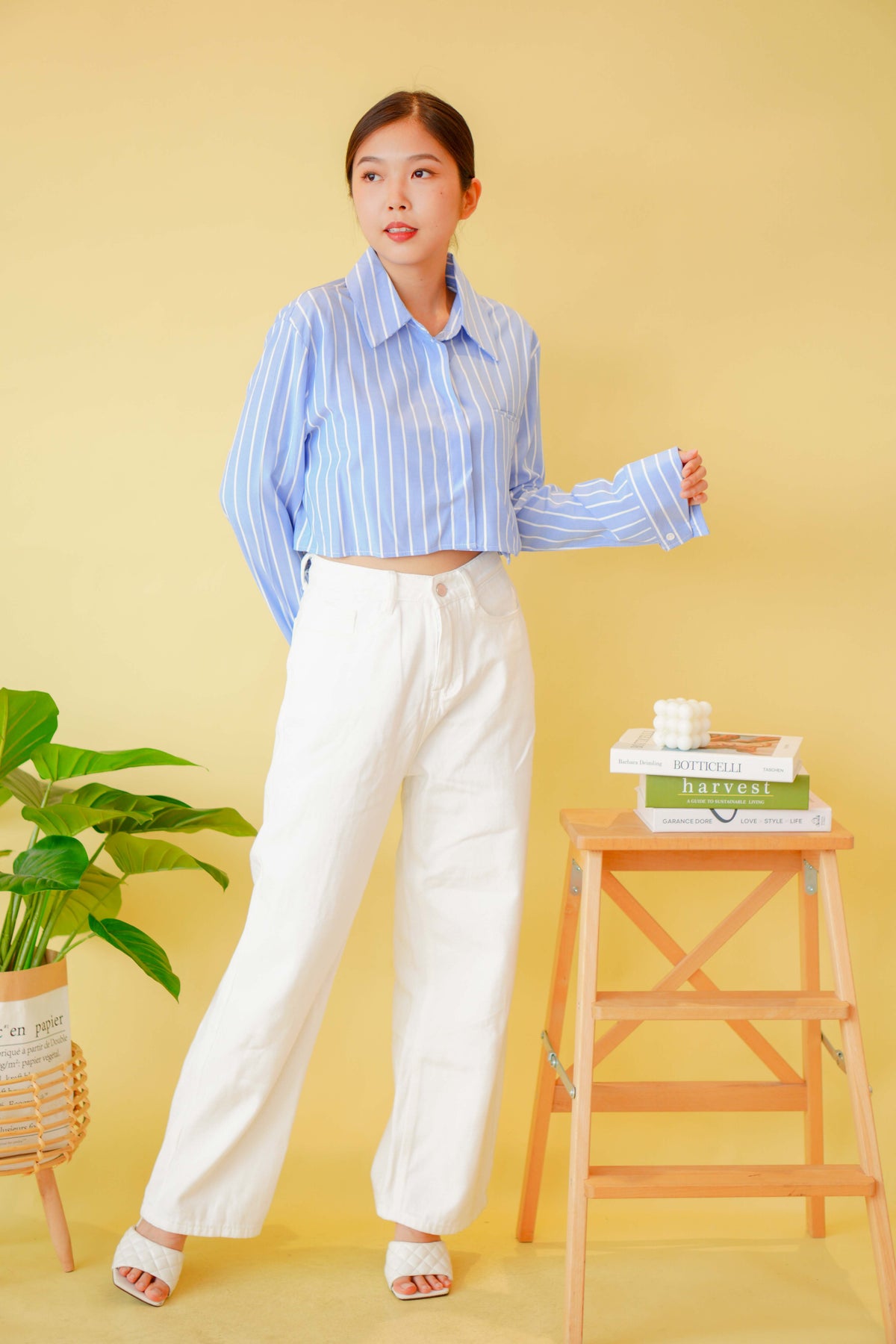 (BACKORDER) Line Up Collar Long Sleeve Crop Top in Blue Stripes