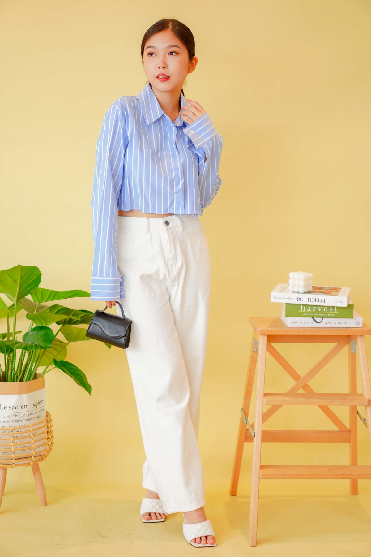 (BACKORDER) Line Up Collar Long Sleeve Crop Top in Blue Stripes