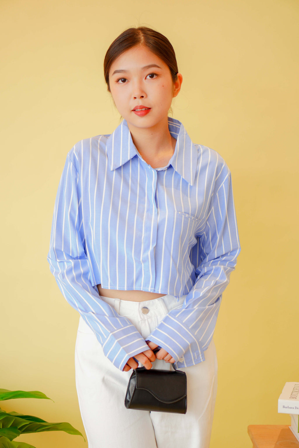 (BACKORDER) Line Up Collar Long Sleeve Crop Top in Blue Stripes