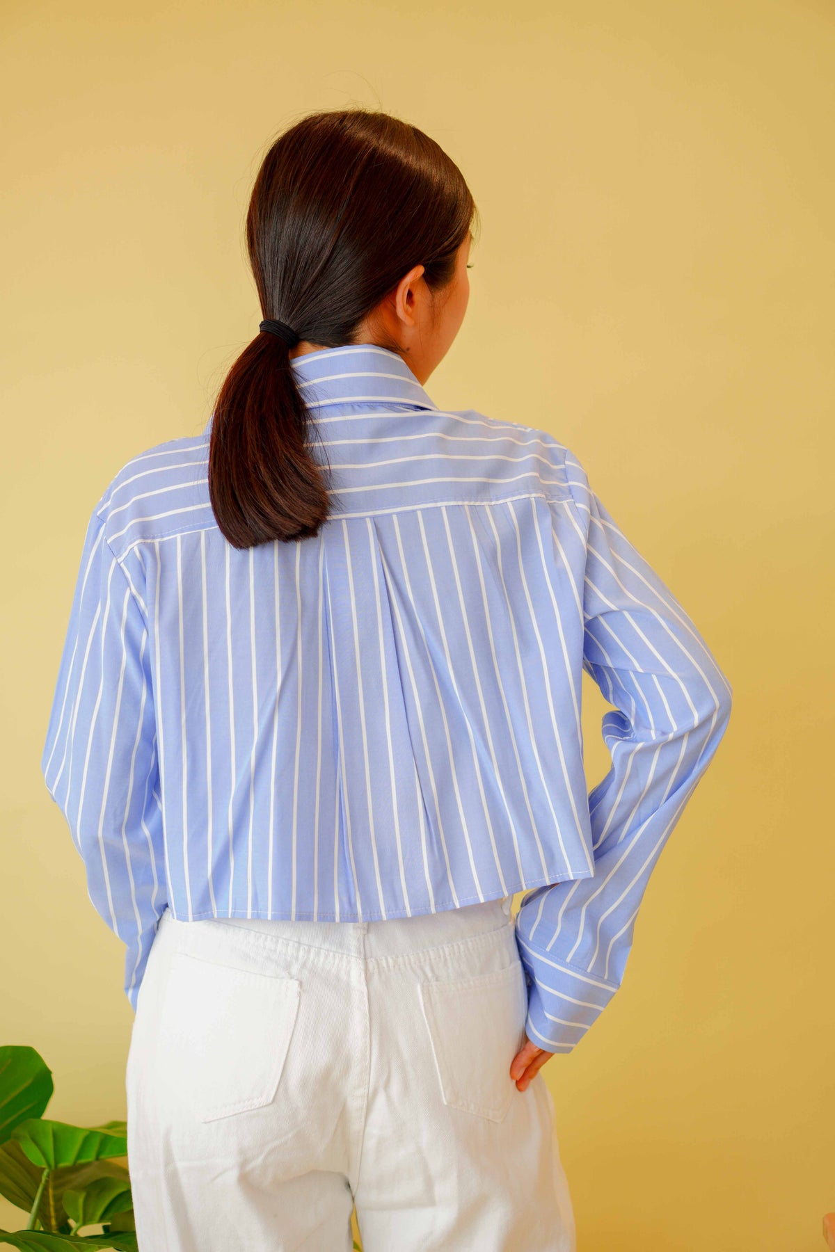 (BACKORDER) Line Up Collar Long Sleeve Crop Top in Blue Stripes