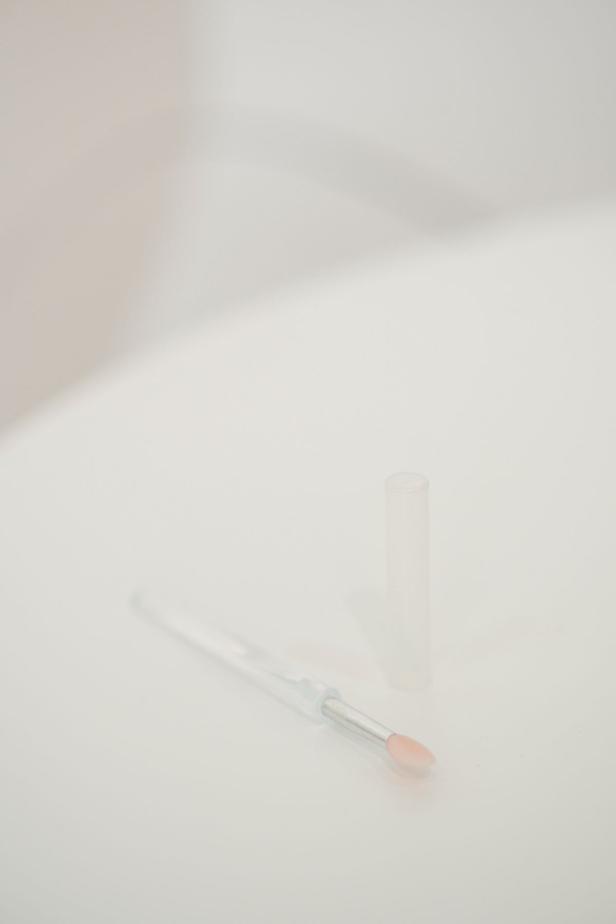 Lip Brush