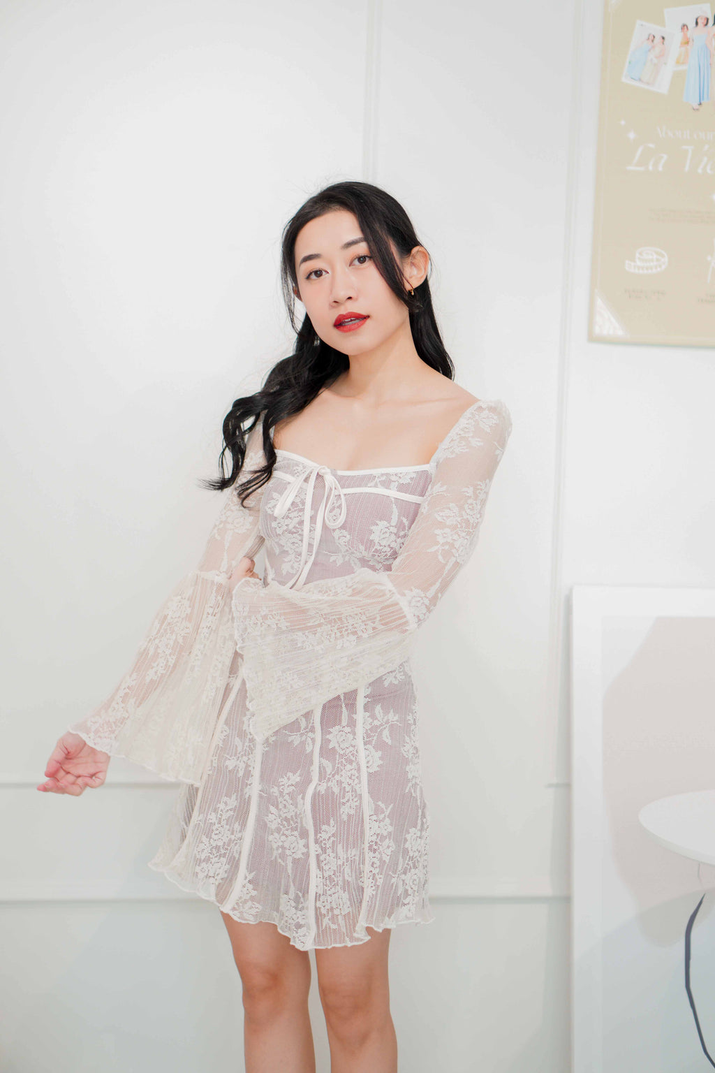 Anastasia Long Sleeve Lace Bustier Dress in White