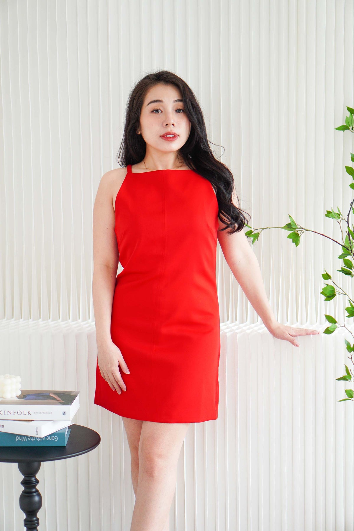 Vermi High Neck Mini Dress in Red