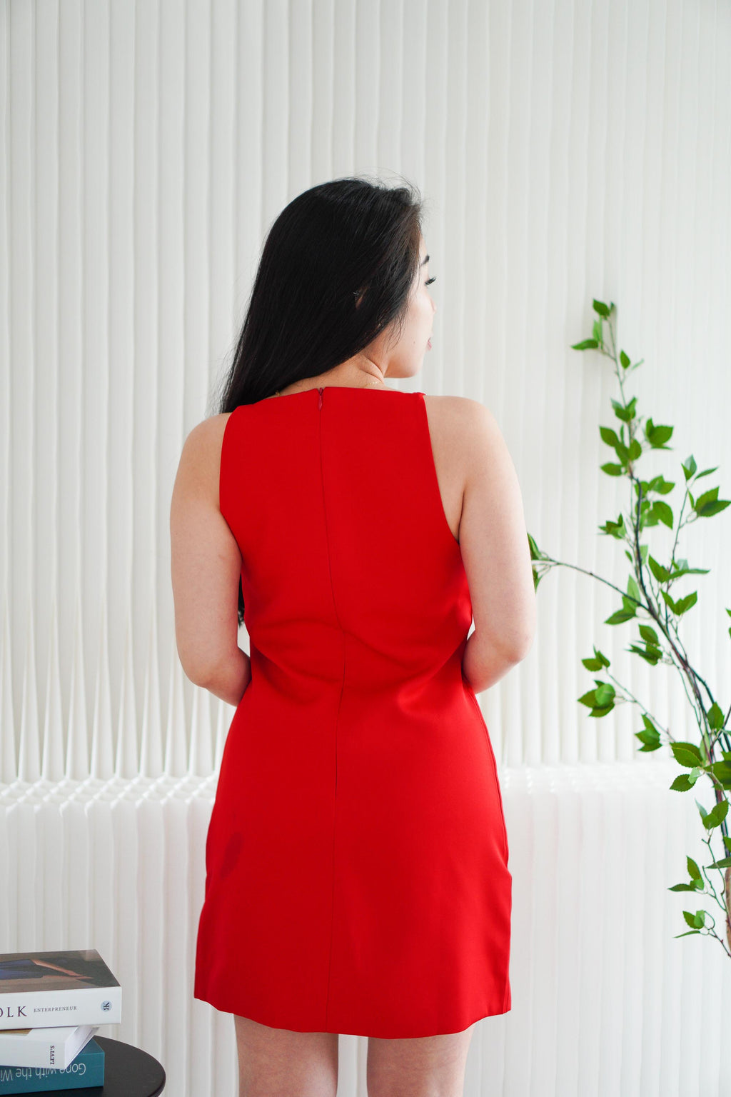 Vermi High Neck Mini Dress in Red