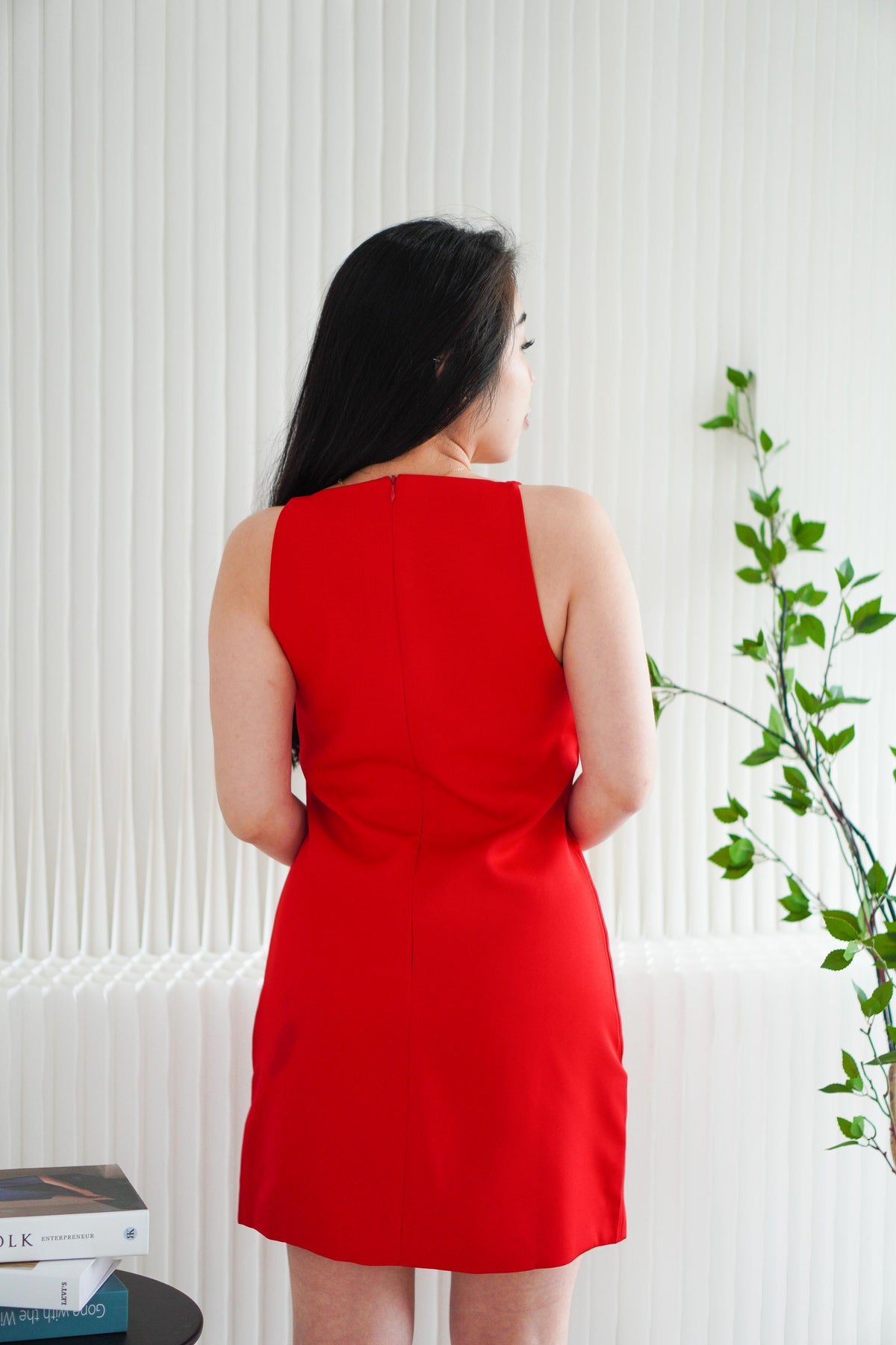 Vermi High Neck Mini Dress in Red