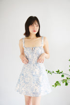 Mini Misty Floral Corset A-Line Dress in Blue and White
