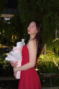 Isabelle Dress - As Seen on @isabellewan
