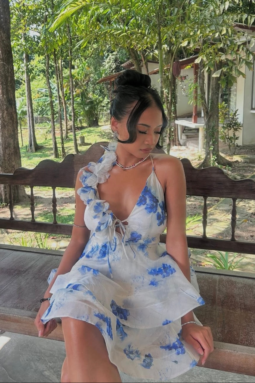 Blosselle Dress - As Seen on @feyaveraa