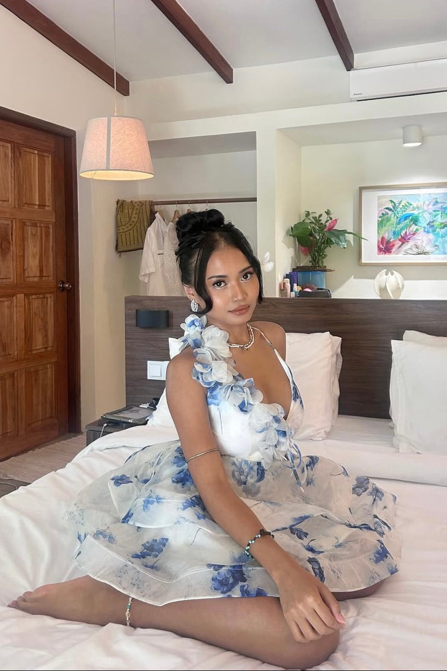 Blosselle Dress - As Seen on @feyaveraa