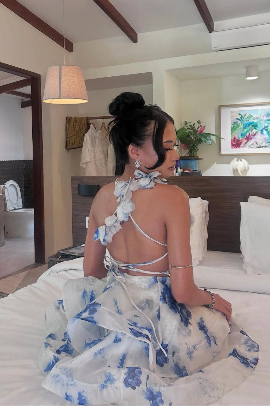 Blosselle Dress - As Seen on @feyaveraa