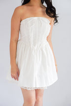 Veyra Mini Tube A-line Dress with Lace in White