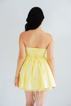 Veyra Mini Tube A-line Dress with Lace in Yellow
