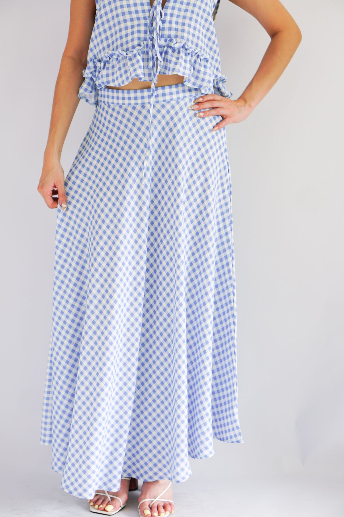 Meadow Gingham A-Line Skirt in Blue