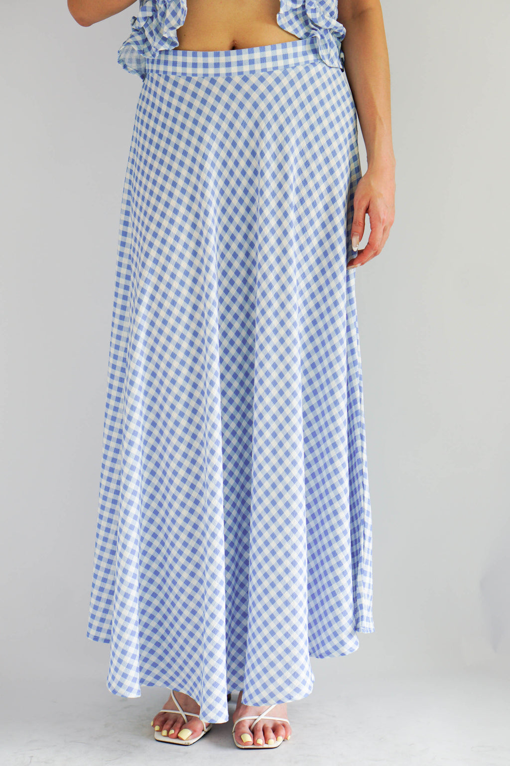 Meadow Gingham A-Line Skirt in Blue
