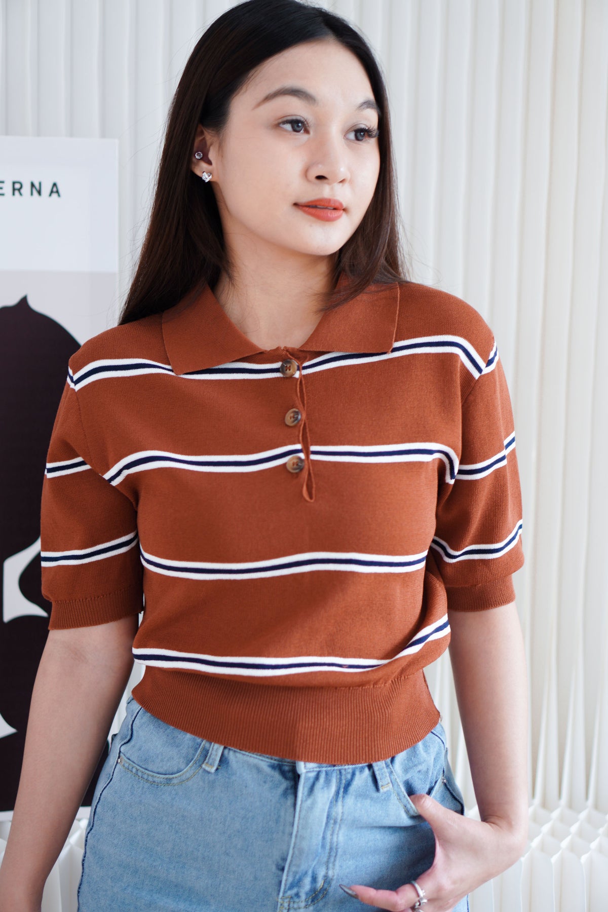 Embi Collar Stripes Short Sleeve Top in Brown